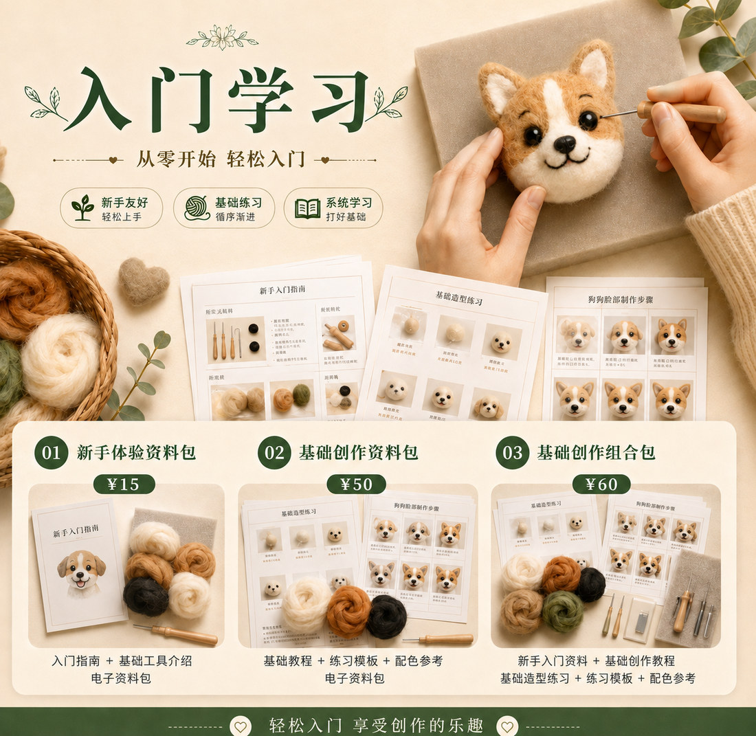 羊毛毡入门学习